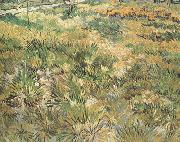 Vincent Van Gogh Meadow in the Garden of Saint-Paul Hospital (nn04) Sweden oil painting reproduction